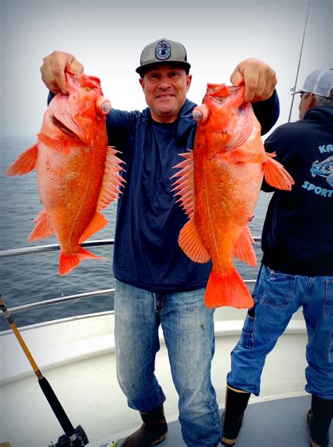 monterey fish|MONTEREY FISH .